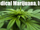 Medical Marijuana Inc.